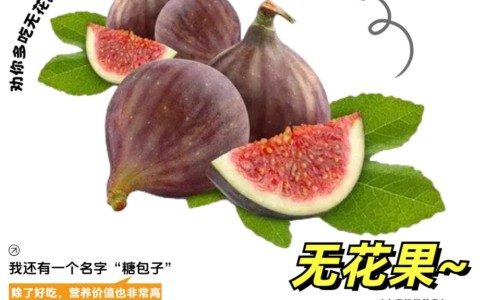 一抹清乳膏皮肤止痒草本萃-一抹清纯中药草本乳膏网 - 为你提供独家一抹清全身乳皮肤外用草本小缓什么攻效、一抹清药膏的作用与功效